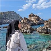 Cours d’arabe à touts les niveaux